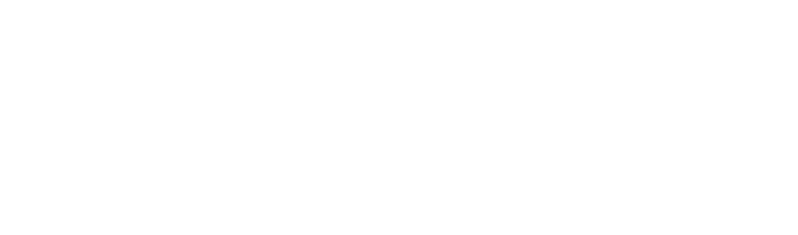 Flyaway Logo W